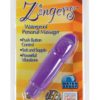 Zingers Personal Massager Waterproof Purple