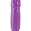 Zingers Personal Massager Waterproof Purple