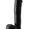 Basix Rubber Works 12 Inch Dong With Suction Cup Black
