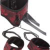Scandal Posture Collar With Leash