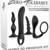 Zero Tolerance Intro To Prostate Kit With Movie And Lube Black