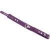 Rouge Leather Adjustable Plain Collar 1 Ring Purple