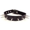 Rouge Adjustable Spiked Collar Leather Black