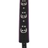 Rouge 3 Ring Padded Leather Adjustable Collar Black And Purple
