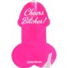 Bachelorette Party Favors Pecker Party Flasks Pink 3 Each Per Pack Holds 8.5 Ounce