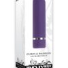 Purple Passion USB Rechargeable Bullet Waterproof Purple 2.8 Inch