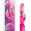 Sexy Things Dancing Dolphin Gyrating Vibe Fuchsia 9 Inch