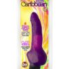 Jelly Caribbean Number 2 Jelly Realistic Vibrator Purple 8 Inch