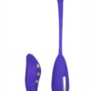 Impulse Intimate E-Stimulator Remote Kegel Exerciser Silicone Rechargeable Waterproof Purple