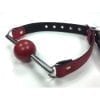 Rouge Ball Gag With Removable Ball And Stainless Steel Rod Adjustable Strap Red