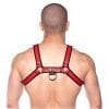 Prowler Red Bull Harness Blk/red Lg