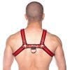Prowler Red Bull Harness Red Sm