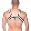 Prowler Red Bull Harness Blk/wht Lg