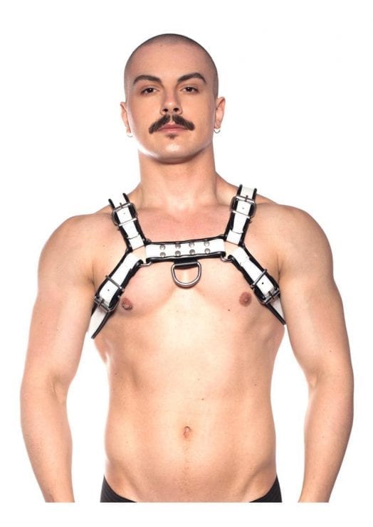 Prowler Red Bull Harness Blk/wht Md