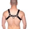 Prowler Red Bull Harness Blk Xxlg