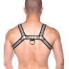 Prowler Red Bull Harness Gry Xxlg