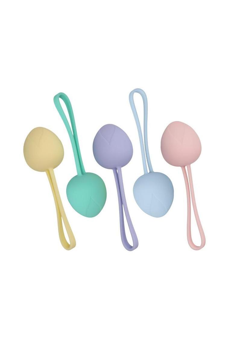 Loveline PelviFit Berry Multiweight Kegel Kit – Multicolor
