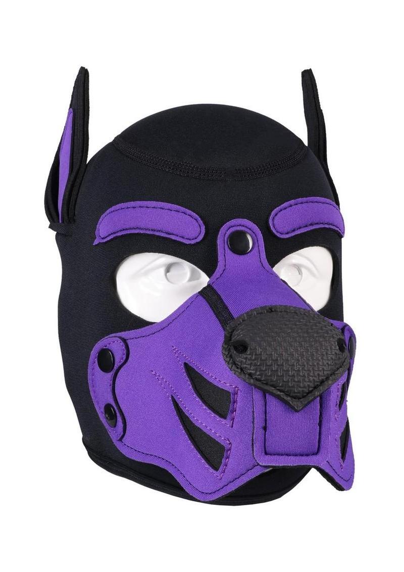 Merci Neoprene Puppy Hood – Purple/Black